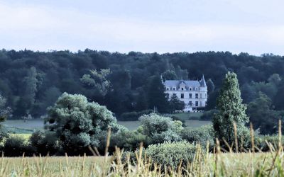 Chateau_la_sauve_01.jpg