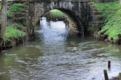 Paysage_11_Pont_du_Coq___Haussez.jpg