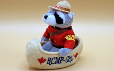 peluche_ours_canadien.jpg