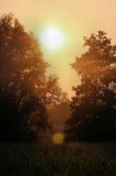 Nature_15.jpg